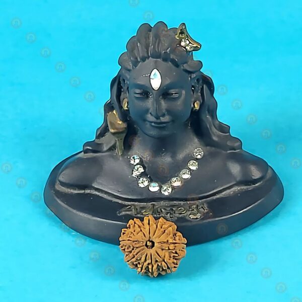 Original 10 Mukhi Nepali Rudraksha – Natural Brown Bead - Image 5