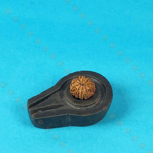 Original 10 Mukhi Nepali Rudraksha – Natural Brown Bead - Image 4